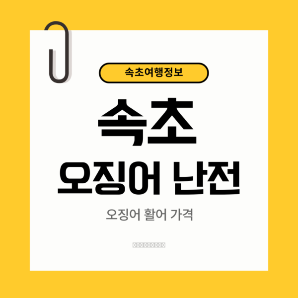 속초 오징어난전